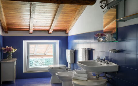 Casa Mancini, Holiday Villa, San Galgano: Plumbing Fixture, Bathroom, Sink, Bathroom Sink, Interior Design, Flooring, Tap, Plumbing, Toilet Seat, Toilet