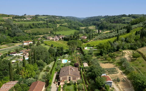 Villa Sorripa 6: Cibo, Piantagione, Agricoltura