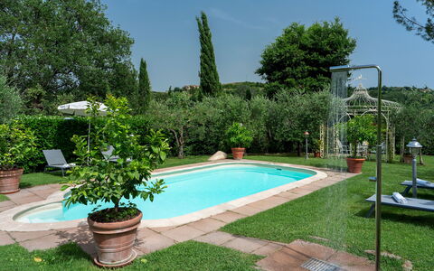 Villa Sorripa 6: Piscina, Arbusto, Giardino, Ricorrere, Backyard, Mobili Da Esterno, Hacienda, Landscaping, Eco Hotel, Shade