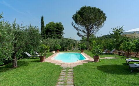 Villa Sorripa 6: Piscina, Mobili Da Esterno, Giardino, Ricorrere, Backyard, Prato, Hacienda, Estate, Eco Hotel, Landscaping