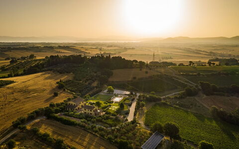 Poderina dei Poggi 12: Paesaggio, Plain, Campo, Lotto, Area Rurale, Piantagione, Agricoltura, Luce Del Sole, Azienda Agricola, Visione Globale