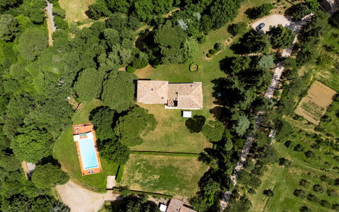 Torre di Paciano 10+2: Albero, Ambiente Naturale, Natura, Paesaggio, Zona Residenziale, Casa, Casa, Estate, Plain, Lotto