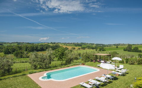 Poggio Vistabella 10: Piscina, Prato, Estate, Prato, Piantagione, Agriturismo, Azienda Agricola, Agricoltura, Villa, Hacienda