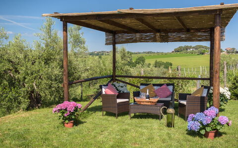 Poggio Vistabella 10: Giardino, Mobilia, Gazebo, Padiglione, Mobili Da Esterno, Struttura Esterna, Shade, Pergola, Backyard