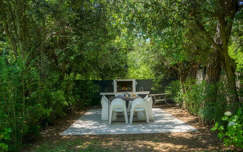 Villa Giomoa 8: Foglia, Natura, Vegetazione, Ramo, Arbusto, Giardino, Comunita 'Impianto, Shade, Primavera, Luce Del Sole