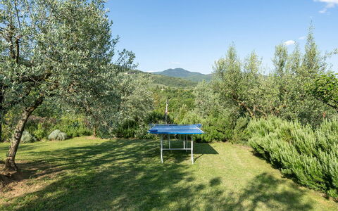 Buca delle Fate 8: Albero, Hill Station, Prato, Pascolo, Sempreverde, Cresta, Piantagione, Pine Famiglia