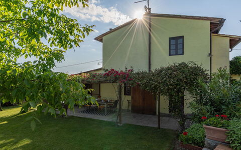 Buca delle Fate 8: Casa, Arbusto, Zona Residenziale, Casa, Villetta, Giardino, Cortile, Estate, Backyard