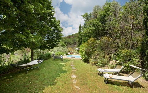 Le Volpaie 6+1: Vegetation, Shrub, Landscape, Garden, Outdoor Furniture, Shade, Landscaping, Eco Hotel, Backyard, Lawn