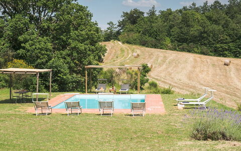 Amantino 8: Albero, Piscina, Giardino, Tempo Libero, Mobili Da Esterno, Prato, Shade, Sedia, Backyard, Ricorrere