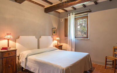 Amantino 8