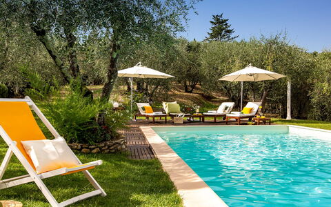 Villa Il Colle di Moriano 8: Furniture, Outdoor Furniture, Swimming Pool, Resort, Sunlounger, Chair, Eco Hotel, Shade, Garden, Backyard