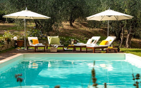Villa Il Colle di Moriano 8: Swimming Pool, Outdoor Furniture, Resort, Sunlounger, Furniture, Umbrella, Eco Hotel, Garden, Chair, Shade