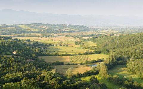 Villa Vittoria D'Anghiari 7+3: Verde, Ambiente Naturale, Paesaggio Naturale, Paesaggio, Ecoregione, Pascolo, Plain, Highland, Campo, Lotto