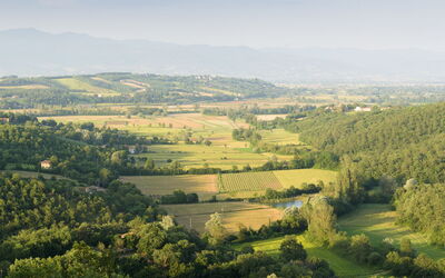 Villa Vittoria D'Anghiari 7+3