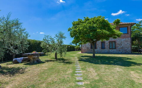 Poggio Medei 10: Cielo, Blu, Erba, Pascolo, Plain, Lotto, Prato, Giardino, Prato, Agriturismo