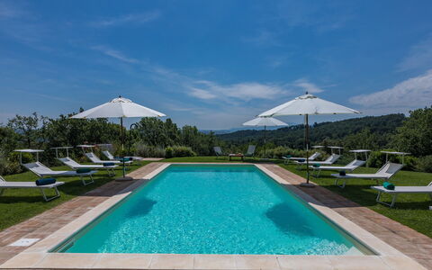 Il Colle di Donna Ilaria 12: Blu, Piscina, Collina, Giardino, Landscaping, Ricorrere, Lettino, Piantagione, Mobili Da Esterno, Cumulo