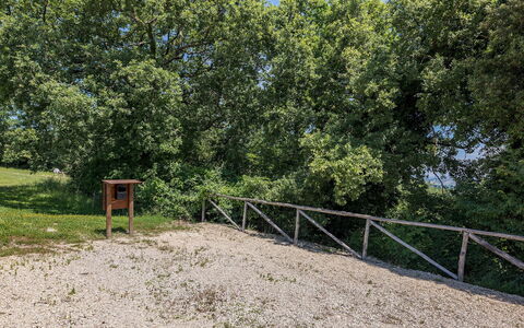 Il Colle di Donna Ilaria 12: Albero, Foglia, Ramo, Woody Impianto, Trail, Woodland, Suolo, Parco, Recinzione, Sentiero