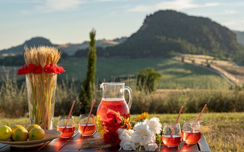 Il Poggiarellone 14: Tavola, Cibo, Bicchieri, Serveware, Ingrediente, Barware, Stemware