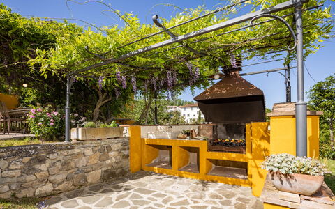 Le Querce dei Medici 12+2: Giardino, Shade, Vaso Di Fiori, Hacienda, Backyard, Landscaping, Cortile, Struttura Esterna, Eco Hotel, Pianta Della Casa