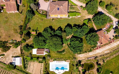 Le Querce dei Medici 12+2: Albero, Casa, Zona Residenziale, Paesaggio, Lotto, Area Rurale, Casa, Plain, Insediamento Umano, Estate