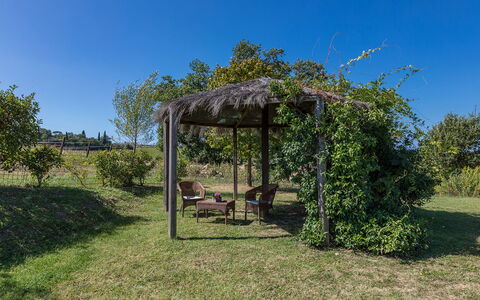 Villa Palazzaccio 26: Shrub, Garden, Shade, Outdoor Structure, Gazebo, Pergola, Landscaping, Pavilion, Plantation
