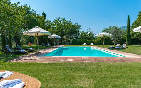 San Francesco 12: Blue, Swimming Pool, Garden, Estate, Landscaping, Lawn, Eco Hotel, Resort, Plantation, Hacienda