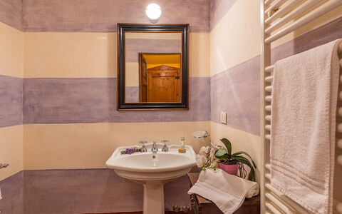 San Francesco 12: Flooring, Floor, Plumbing Fixture, Interior Design, Bathroom, Toilet, Plumbing, Room, Tap, Bathroom Sink