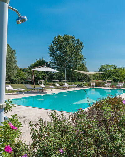Alborata 10: Swimming Pool, Resort, Garden, Landscaping, Shade, Eco Hotel, Outdoor Furniture, Estate, Park, Plantation