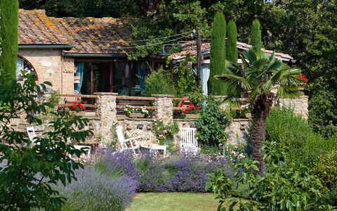 Borgo Paradiso 4+2: Arbusto, Giardino, Backyard, Primavera, Groundcover, Landscaping, Villetta, Cortile, Vaso Di Fiori
