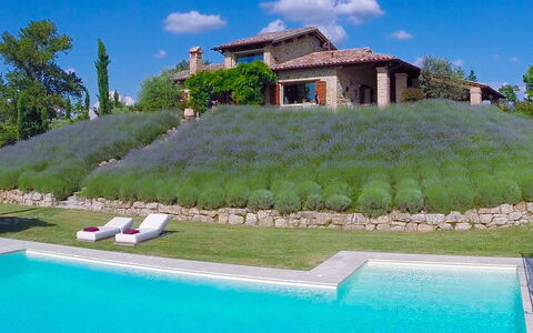 Casale delle Lavande 10: Shrub, Garden, Landscaping, Swimming Pool, Evergreen, Backyard, Yard, Plantation, Resort