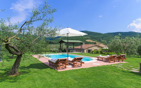 Vinciluna 4: Geografia Montane, Collina, Montagna, Casa, Agriturismo, Lotto, Piscina, Catena Montuosa, Area Rurale, Villetta