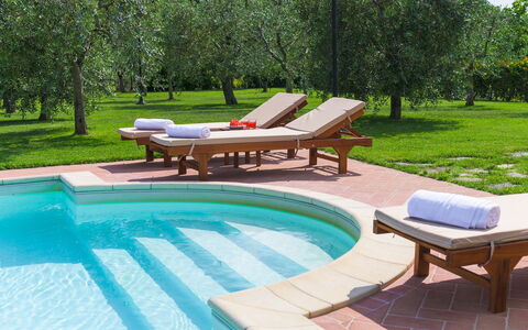 Vinciluna 4: Piscina, Mobili Da Esterno, Mobilia, Ricorrere, Giardino, Lettino, Shade, Giochi D'Acqua, Tempo Libero, Landscaping