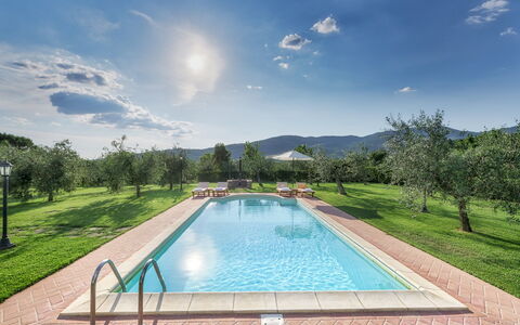 Vinciluna 4: Piscina, Giardino, Hacienda, Eco Hotel, Agriturismo, Giochi D'Acqua, Landscaping, Villa, Piantagione