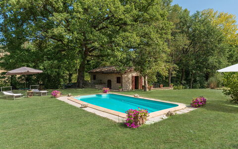 Mulino della Quercia 2+1: Swimming Pool, Garden, Backyard, Lawn, Farmhouse, Estate, Yard, Shade, Hacienda, Landscaping