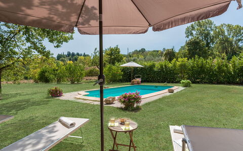 Mulino della Quercia 2+1: Umbrella, Swimming Pool, Outdoor Furniture, Furniture, Garden, Chair, Shade, Land Lot, Resort, Outdoor Table