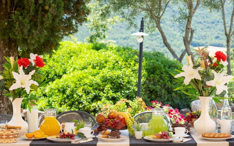 Terripi 10: Tavola, Verde, Tavolo, Mobilia, Cibo, Frutta, Tovaglia, Bicchieri, Serveware