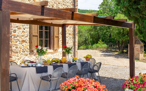 Terripi 10: Shade, Mobilia, Giardino, Vaso Di Fiori, Struttura Esterna, Tavolo Esterno, Terrazza, Mobili Da Esterno, Pergola, Tenda