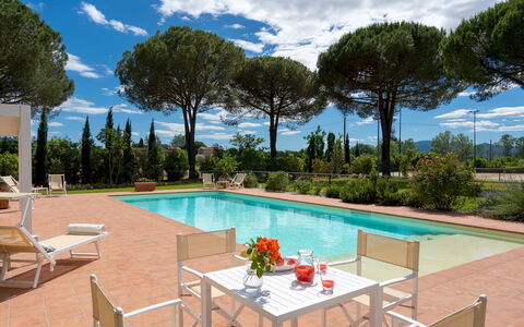 Villa Elisa 16: Giardino, Ricorrere, Shade, Piscina, Landscaping, Eco Hotel, Mobili Da Esterno, Cortile, Villa, Hacienda