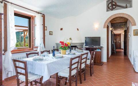 Villa Fabi 6+2: Furniture, Table, Chair, Kitchen & Dining Room Table, Dining Room, Houseplant, Flowerpot, Villa, Eco Hotel, Hotel