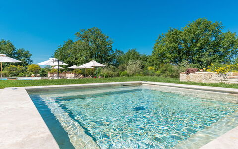 Villa le Chiarne 22: Garden, Swimming Pool, Landscaping, Reflection, Water Feature, Design, Pond, Botanical Garden, Reflecting Pool