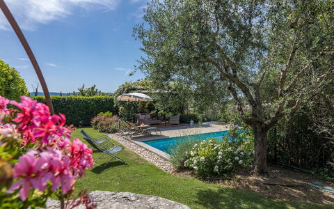La Capannina 2+2: Blue, Shrub, Garden, Landscaping, Swimming Pool, Shade, Backyard, Yard, Estate, Hacienda