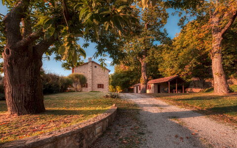 Casale del Castagneto 8: Albero, Ramo, Erba, Foglia, Natura, Casa, Villetta, Casa, Paesaggio, Tetto