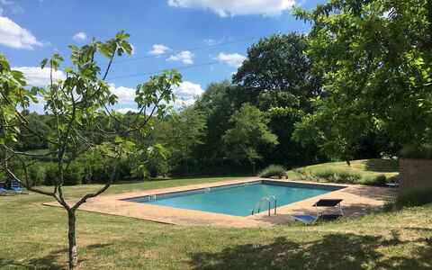 Villa Carmeli 12+2: Piscina, Albero, Shade, Giardino, Backyard, Prato, Landscaping, Cortile, Parco, Ricorrere