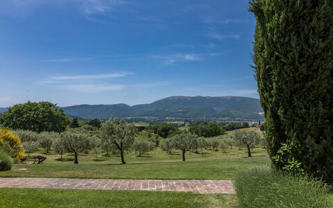 Casal Parro 6: Cielo, Geografia Montane, Albero, Erba, Verde, Natura, Foglia, Ambiente Naturale, Collina, Montagna