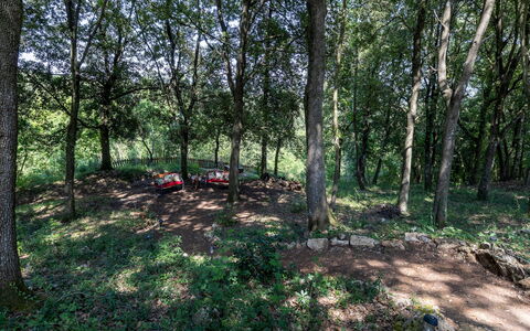 Villa Rinaldi 6: Leaf, Tree, Natural Environment, Wood, Branch, Vegetation, Forest, Grove, Woodland, Plant Community