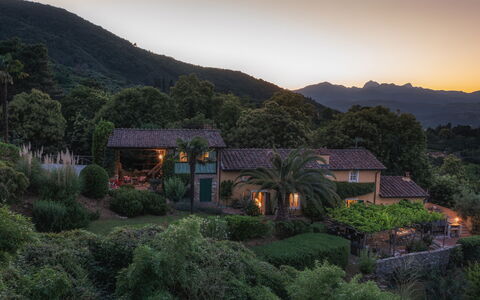 Villa Marraccini 8: Mountainous Landforms, Nature, Vegetation, Mountain, Natural Landscape, Hill, Landscape, Shrub, Highland