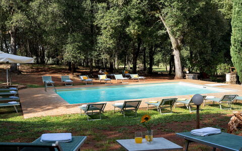 Borgo Gallinaio 32: Outdoor Furniture, Furniture, Swimming Pool, Shade, Resort, Garden, Sunlounger, Eco Hotel, Hacienda, Landscaping