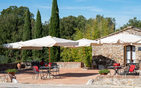 Borgo Gallinaio 32: Shade, Outdoor Furniture, Umbrella, Garden, Outdoor Table, Chair, Landscaping, Outdoor Structure, Yard, Flowerpot