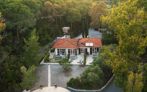 Villa Laconella 8+4: Tree, House, Landscape, Residential Area, Home, Shrub, Rural Area, Roof, Cottage, Estate