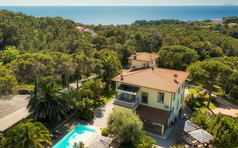 Villa Gaius 8+2: Blue, Residential Area, Resort, Eco Hotel, Estate, Balcony, Swimming Pool, Tropics, Villa